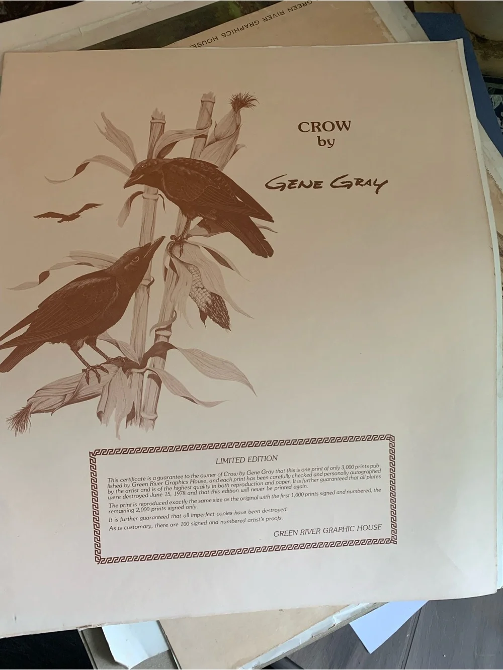 Vintage Gene Gray Limited Edition Print Black Crow Wall Art Print 1978 Nature